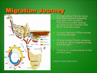 Migration Parrot Unit 3: Orange Bellied Parrot | PPT