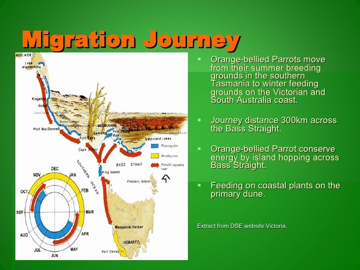 Unit 3: Orange Bellied Parrot