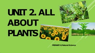 UNIT 2. ALL
ABOUT
PLANTS
PRIMARY4/Natural Science
 