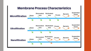 Advanced Filtration Processes & Insights | PPTX