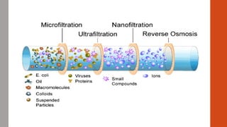 Advanced Filtration Processes & Insights | PPTX