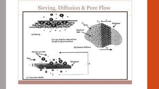 Advanced Filtration Processes & Insights | PPTX