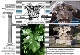 The stylized, carved leaves of an
acanthus plant grow around the
capital, generally terminating just
Abacus
Spirals
Acanthus leaves
Stalks
 