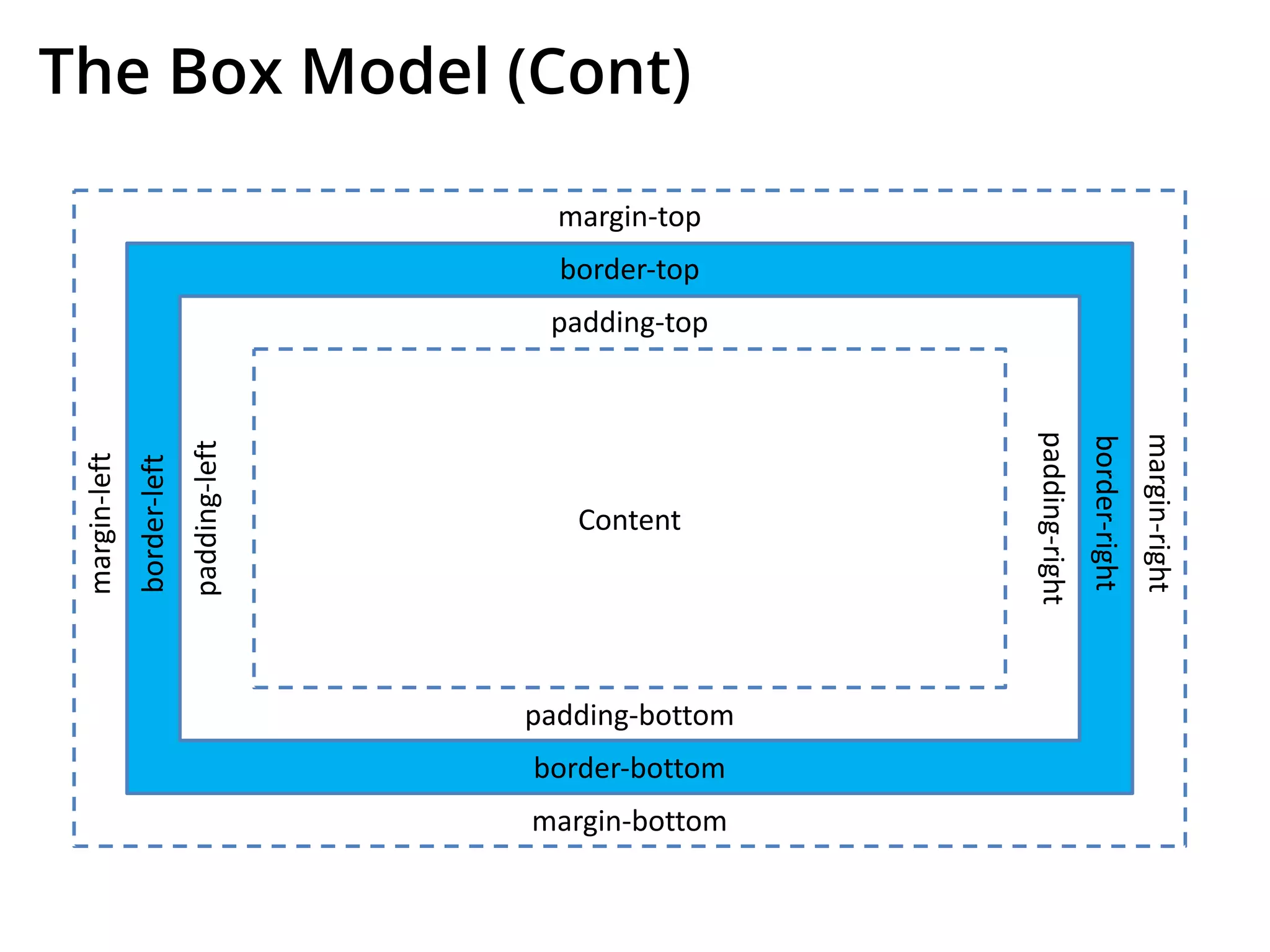 The Box Model (Cont)
Content
padding-top
padding-bottom
padding-right
padding-left
border-top
margin-top
border-right
margin-right
border-bottom
margin-bottom
border-left
margin-left
 