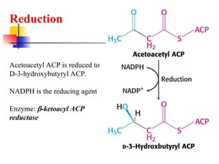 Unit-3 The Structure and Functionsof Lipids - Copy.ppt