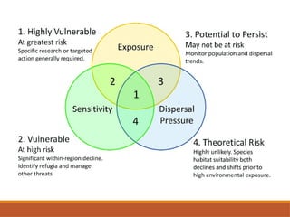 Comprehensive Analysis of Climate Vulnerability and Urban Mitigation ...