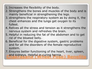Chakrasana (Wheel Pose) Benefits
1. Increases the flexibility of the body.
2. Strengthens the bones and muscles of the body and is
mainly beneficial in strengthening the legs.
3. strengthens the respiratory system as by doing it, the
chest enhances and the lungs get oxygen to its
fullest.
4. Relives all the stress and tension as it strengthens the
nervous system and refreshes the brain.
5. Helpful in reducing the fat of the abdomen and to get
rid of the bloated belly.
6. Beneficial for the digestive system, gastric problems
and for all the disorders of the female reproductive
system.
7. Ensures better functioning of the heart, liver, spleen,
and kidneys. Helpful in curing hernia.
 