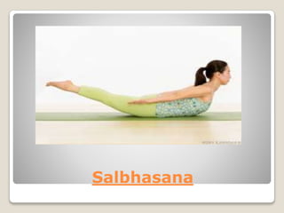 Salbhasana
 