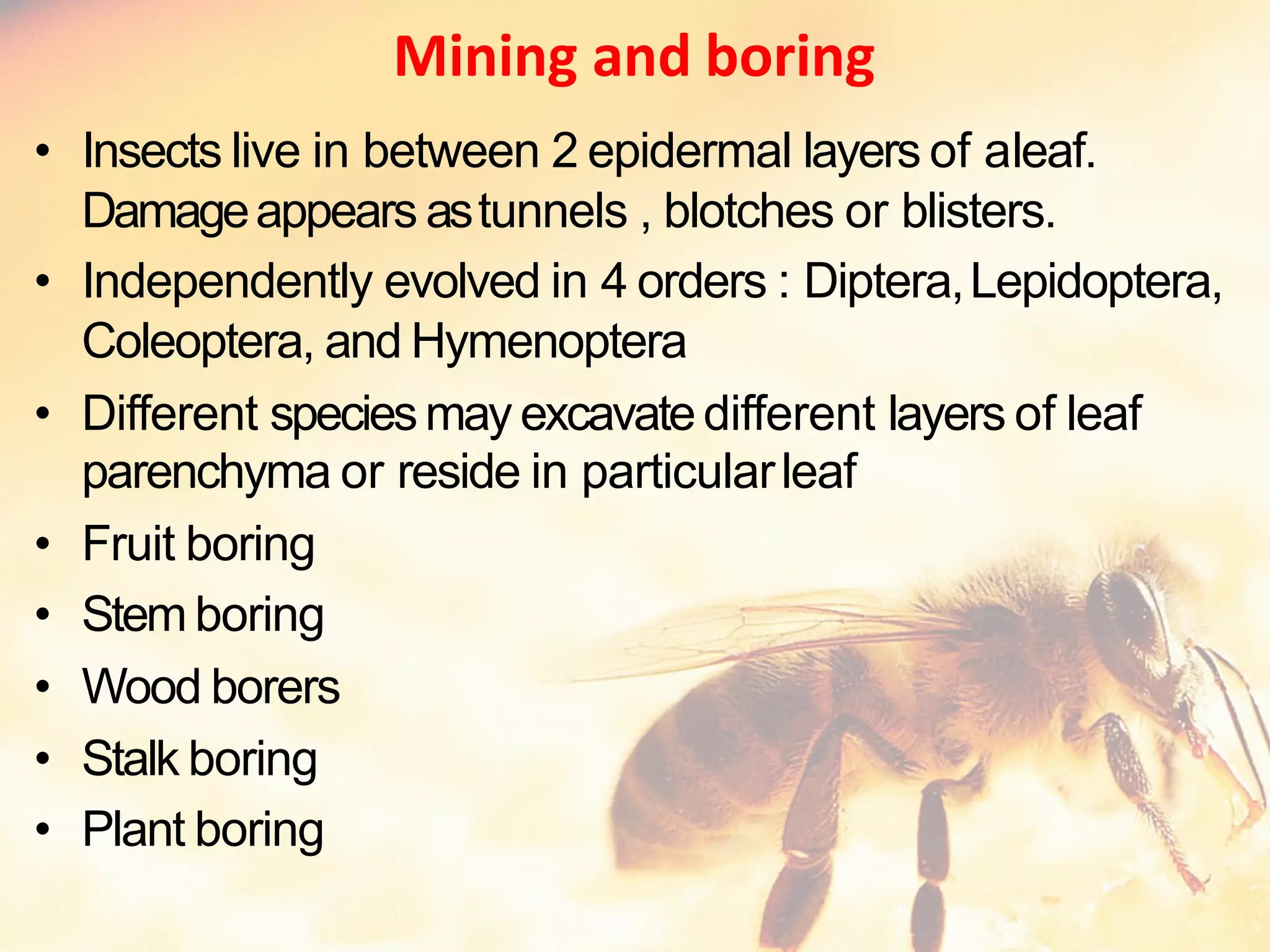 Insects Resource Evolution of Resource Harvesting Organs with Resilience of Insects and ...