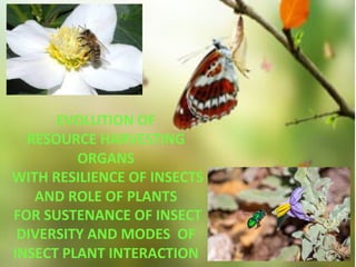 EVOLUTION OF
RESOURCE HARVESTING
ORGANS
WITH RESILIENCE OF INSECTS
AND ROLE OF PLANTS
FOR SUSTENANCE OF INSECT
DIVERSITY AND MODES OF
INSECT PLANT INTERACTION
 
