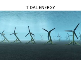 TIDAL ENERGY
 