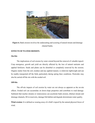 EXOGENOUS HAZARDS docx | DOCX