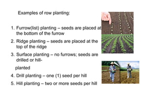 Unit-4.-Selection-and-preparation-of-planting-materials (1).pptx