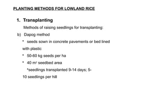 Unit-4.-Selection-and-preparation-of-planting-materials (1).pptx