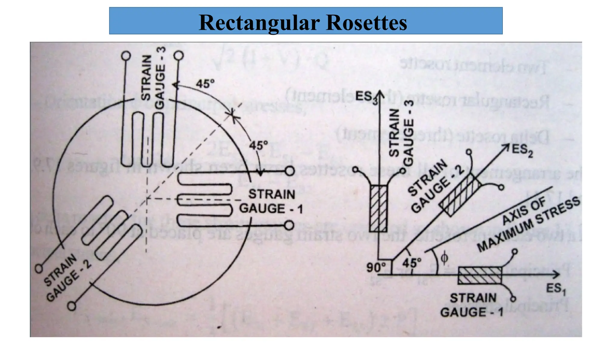 Rectangular Rosettes
 
