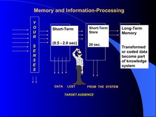 Y O U R S E N S E S Short-Term (0.5 - 2.0 sec) Short-Term Store 20 sec. Long-Term Memory Transformed  or coded data become part of knowledge system Memory and Information-Processing DATA  LOST FROM  THE  SYSTEM TARGET AUDIENCE 
