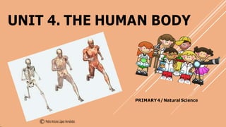 UNIT 4. THE HUMAN BODY
PRIMARY4/Natural Science
 