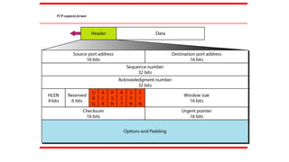 TCP segment format
 