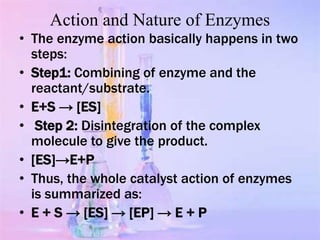 ENZYME ACTION
 