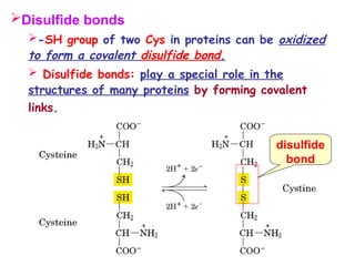 Unit-4 Final Amino acid structure - Copy.ppt
