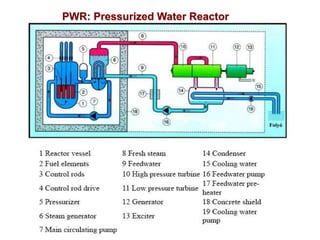 PWR: Pressurized Water Reactor
 