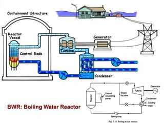 BWR: Boiling Water Reactor
 