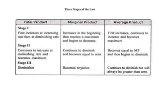 Three Stages of the Law
 