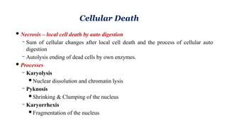 Unit-4 Trauma and Cell Injury pathophysiology.pptx