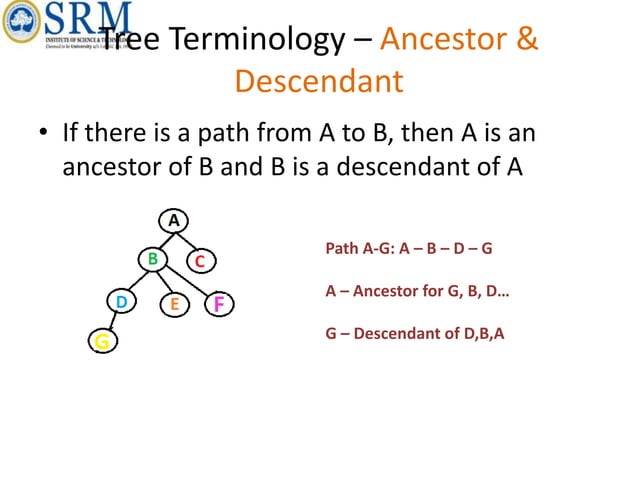 unit 4 for trees data structure notes it is | PPTX