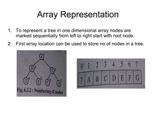 UNIT-4 TREES.ppt | Programming Languages | Computing