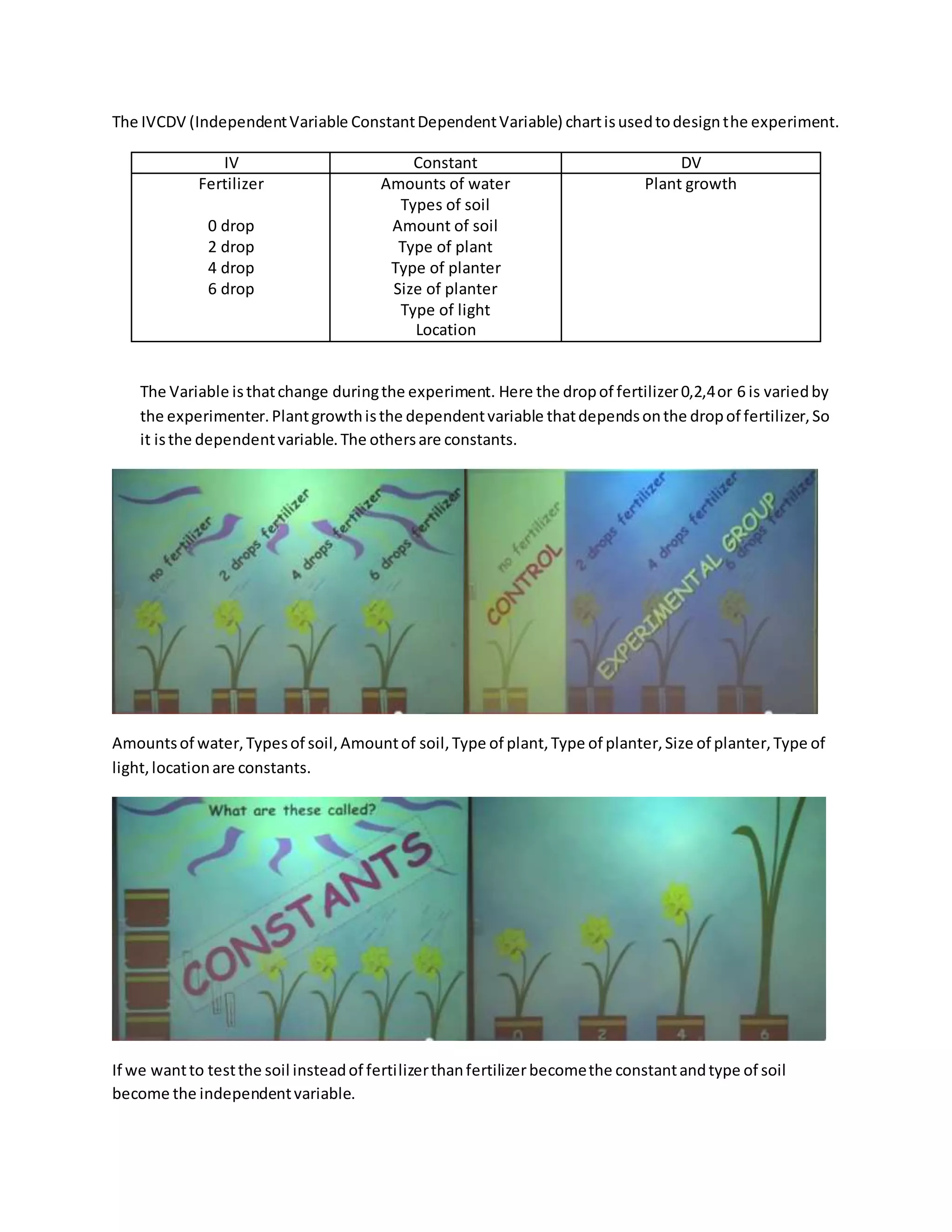 The IVCDV (IndependentVariable ConstantDependentVariable) chartisusedtodesignthe experiment.
IV Constant DV
Fertilizer
0 drop
2 drop
4 drop
6 drop
Amounts of water
Types of soil
Amount of soil
Type of plant
Type of planter
Size of planter
Type of light
Location
Plant growth
The Variable isthatchange duringthe experiment. Here the dropof fertilizer0,2,4or 6 is variedby
the experimenter.Plantgrowthisthe dependentvariable thatdependsonthe dropof fertilizer,So
it isthe dependentvariable.The othersare constants.
Amountsof water,Typesof soil,Amountof soil,Type of plant,Type of planter,Size of planter,Type of
light,locationare constants.
If we wantto testthe soil insteadof fertilizerthanfertilizerbecomethe constantandtype of soil
become the independentvariable.
 