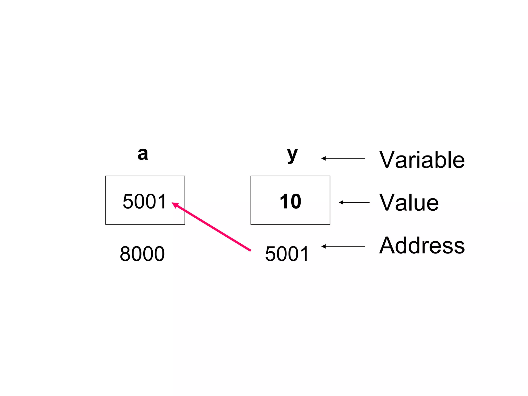 5001 10
8000
a y
5001
Variable
Value
Address
 