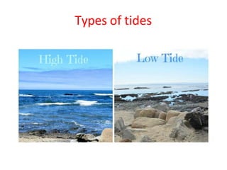 Types of tides
 