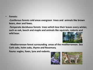 • Forests:
-Coniferous forests cold areas evergreen trees and animals like brown
bears, deer and foxes.
-Temperate deciduous forests trees which lose their leaves every winter,
such as oak, beech and maple and animals like squirrels, rodents and
wild boar.
- Mediterranean forest surrounding areas of the mediterranean. Sea
Cork oaks, holm oaks, thyme and Rosemary.
Fauna: eagles, foxes, lynx and rodents.
 