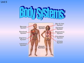 Body Systems: Unit 5 