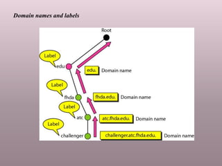 Domain names and labels
 