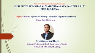 Shri Shivaji Education Society, Amravati's
SHRI PUNDLIK MAHARAJ MAHAVIDYALAYA, NANDURA RLY.
DIST. BULDANA
Topic: Unit-V: Agriculture Zoology: Economic Importance of Insects
Class: B.Sc-III, Sem-V
Mr. Shantaram Bhoye
Assistant Professor & Head, Department of Zoology
M.Sc., NET-JRF, SET, M.A.(Eng.)
 