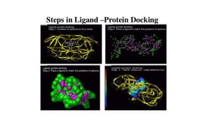 Pharmacophore modelling and docking techniques.pptx