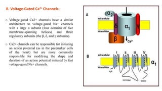 Unit 5 ion channel receptor | PDF
