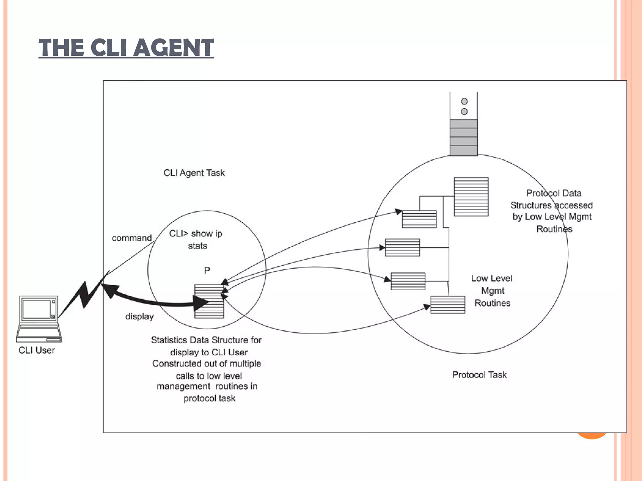 THE CLI AGENT
 