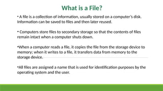 Comprehensive Guide to File Handling in C++ Programming | PPTX