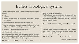 The pH of biological fluids is maintained by various internal
buffers.
1. Blood
The pH of blood must be maintained within a pH range of
7.35 to 7.45.
Even the slightest change in blood pH can be fatal.
Enzyme action, oxygen transport, electrical activity of heart
and protein stability are all dependent upon blood pH.
There are 3 buffers to maintain blood pH-
A. Bicarbonate buffer system
Carbon dioxide and water react with each other in the blood
cells to form carbonic acid (weak acid) which dissociates into
hydrogen ion and bicarbonate ion(conjugate base).
CO2 + H2O H2CO3 H+
+ HCO3
-
Buffers in biological systems
When the blood becomes acidic,
The bicarbonate ion reacts with it to form carbonic acid
which is immediately converted into water ( which is
excreted through urine) and carbon dioxide ( which is
exhaled through lungs).
H+
+ HCO3
-
H2CO3 CO2 + H2O
when the blood contains excessive basic ions, carbonic
acid forms water (excreted through urine) and
bicarbonate ion (used as a buffer)
OH-
+ H2CO3 H2O + HCO3
-
Stored in bicarbonate reserve
 