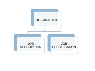 JOB ANALYSIS
JOB
DESCRIPTION
JOB
SPECIFICATION
 