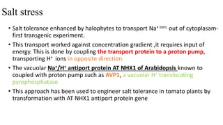 Salt stress
• Salt tolerance enhanced by halophytes to transport Na+ ions out of cytoplasam-
first transgenic experiment.
• This transport worked against concentration gradient ,it requires input of
energy. This is done by coupling the transport protein to a proton pump,
transporting H+ ions in opposite direction.
• The vacuolar Na+/H+ antiport protein AT NHX1 of Arabidopsis known to
coupled with proton pump such as AVP1, a vacuolar H+ translocating
pyrophosphatase
• This approach has been used to engineer salt tolerance in tomato plants by
transformation with AT NHX1 antiport protein gene
 