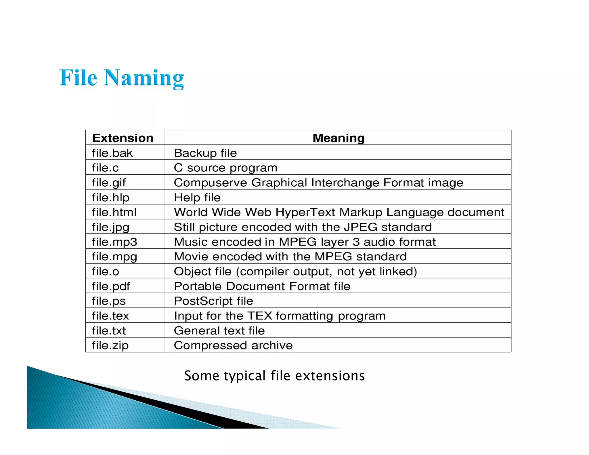 Some typical file extensions
 