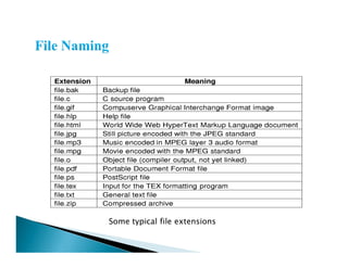 Some typical file extensions
 