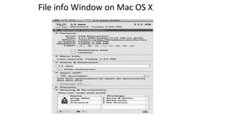 File info Window on Mac OS X
 