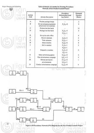 Planning time scale network analysis and network diagrams | PDF