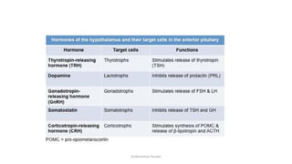 Comprehensive Overview of Reproductive Hormones and Their Functions | PDF