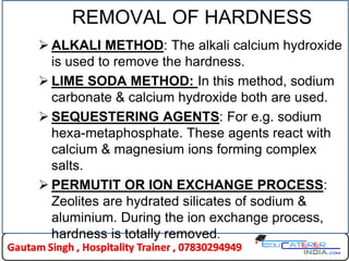 Permut It. Method cleaning-science | PDF